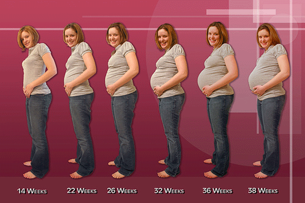 La obesidad durante el embarazo