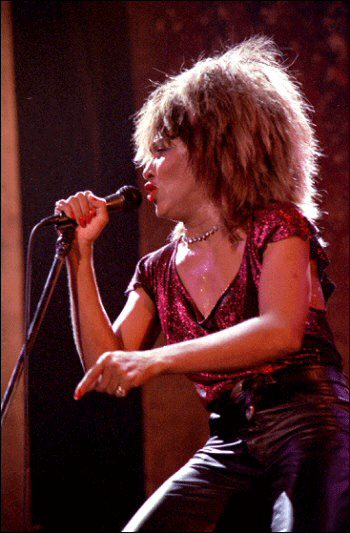 Vuelve Tina Turner… como espantapájaros