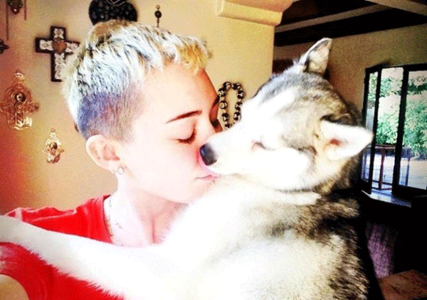 Miley Cirus redefine su look: el punk