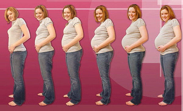 El embarazo mes a mes I